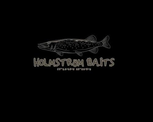 Holmström Baits